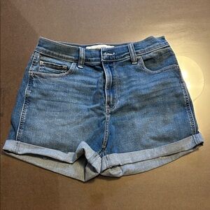 Hollister Classic Blue Jean Shorts